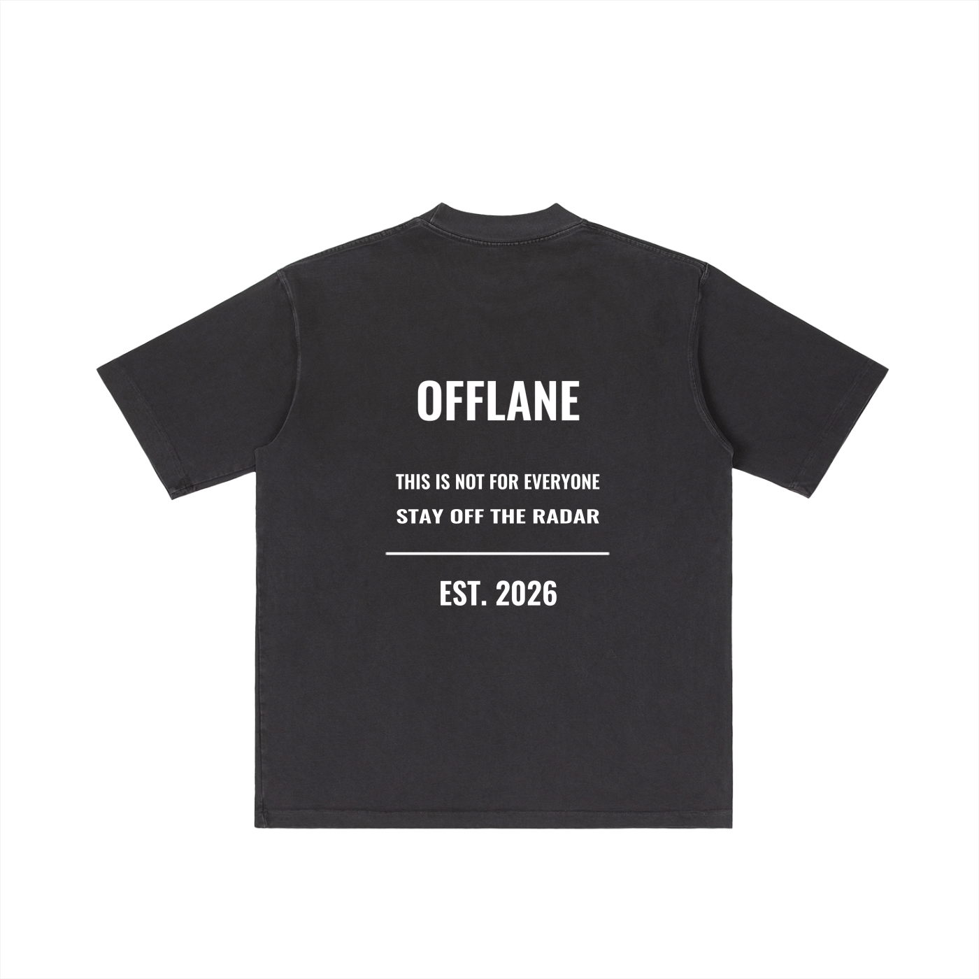 Washed T-Shirt V1